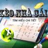 f8bet-Tận dụng ưu đãi tuyệt vời từ trang cược xanh chín!