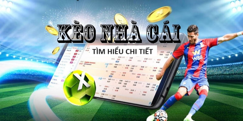 f8bet-Tận dụng ưu đãi tuyệt vời từ trang cược xanh chín!